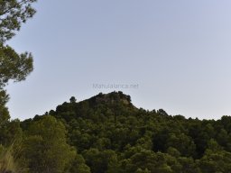 Yacimiento de la Almoloya 2023